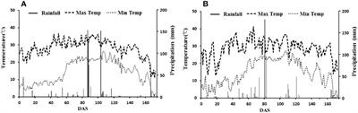 Effects of N application methods on cotton yield and fertilizer N recovery efficiency in salinity fields with drip irrigation under mulch film using 15N tracing technique